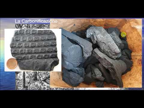 Video: In che modo i fossili marcatori si riferiscono al tempo geologico?