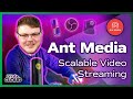 Ant media server tutorial  low latency webrtc streaming