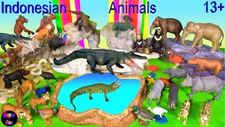 Indonesian Animals - Tiger,  Elephant, Komodo, Rhino, Orangutan, Leopard, Babirusa, Monkey 13+ Hewan