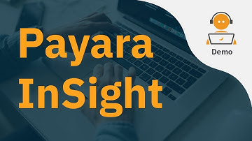 Introducing Payara InSight