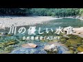 【優しい水音】綺麗な川のせせらぎに癒される1時間【自然環境音｜銚子川/三重】
