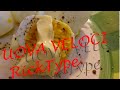 Ricetta facile uova veloci alla ricktype pronte in 5 minuti