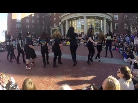 delta-phi-epsilon,-alpha-upsilon--recruitment-video-2016