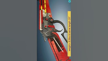 Henry lever action Octagon Frontier.