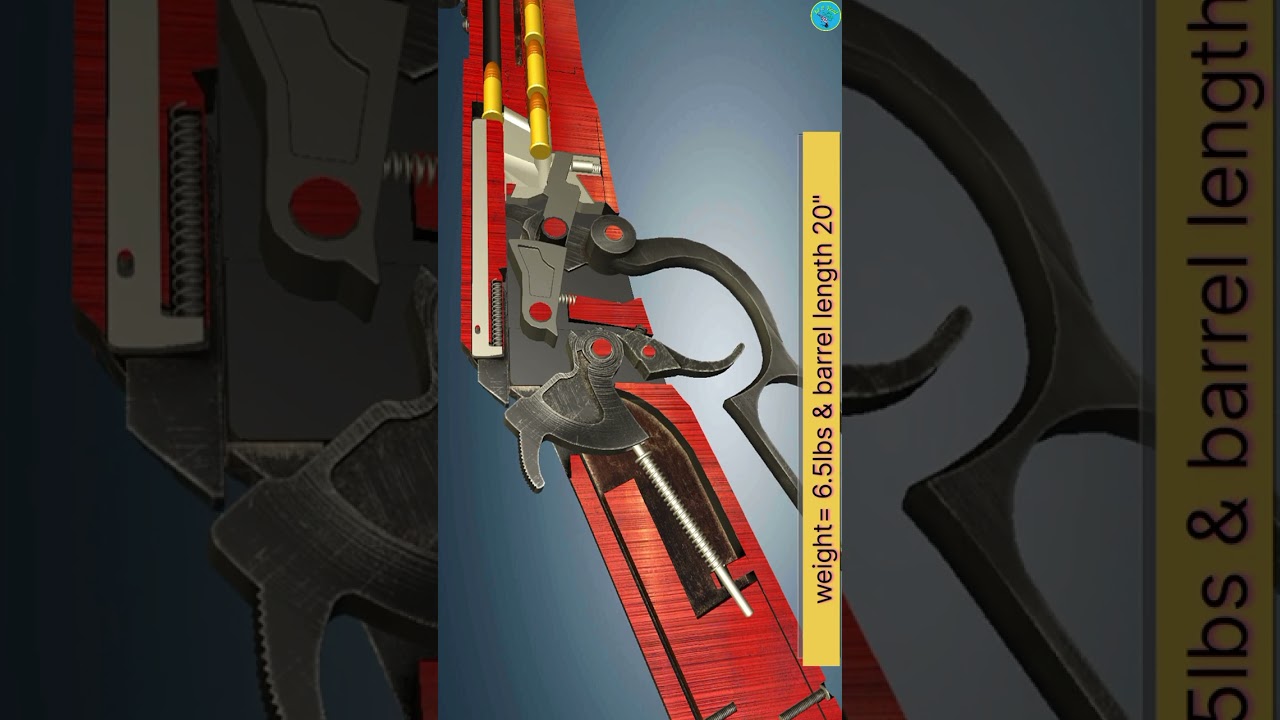 Henry lever action Octagon Frontier.