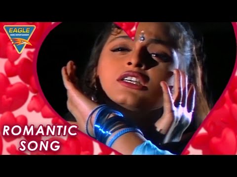 Love Song Of The Day 116 Bollywood Best Songs Rangbaaz Eagle Hindi Movies 
