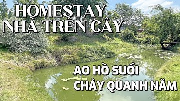 ANH NHIỀU ĐANG CẦN TIỀN NÊN CẦN BÁN GẤP LÔ ĐẤT HOMESTAY NHÀ TRÊN CÂY GIÁ RẼ 1 GẦN 1 NỮA