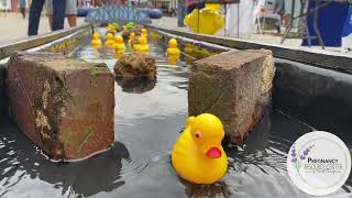 2023 Biggest Little Duck Race benefitting the Pregnancy Resource Center of Smith County