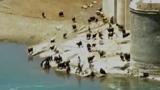 Kürtçe Güzel Parça - Şilan Sozdar - Vedat_ - 
