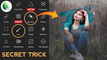 Snapseed Green And Bird Effect Photo Editing Tutorial | Snapseed Background Colour Change Tricks