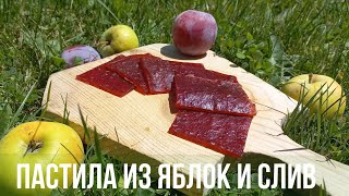 картинка: Простой и легкий рецепт пастилы из слив и яблок