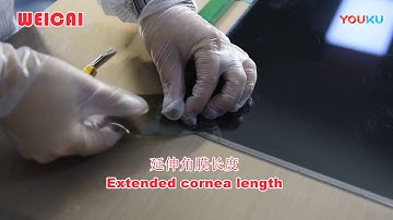 LCD Screen Polarizing Tear Film Machine