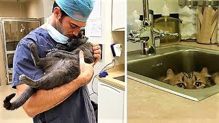 15 Awesome Jobs for Animal Lovers