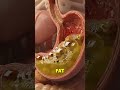What happen when you eat fried food late at night #short #humanbody #anatomy #digestivesystem