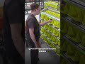 💡 WLS15 Pro de Banner Engineering La luz LED lineal más versátil para aplicaciones industriales.