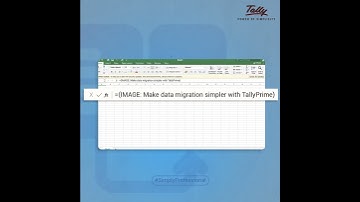 Tally Prime 4.0 | The new excel import function