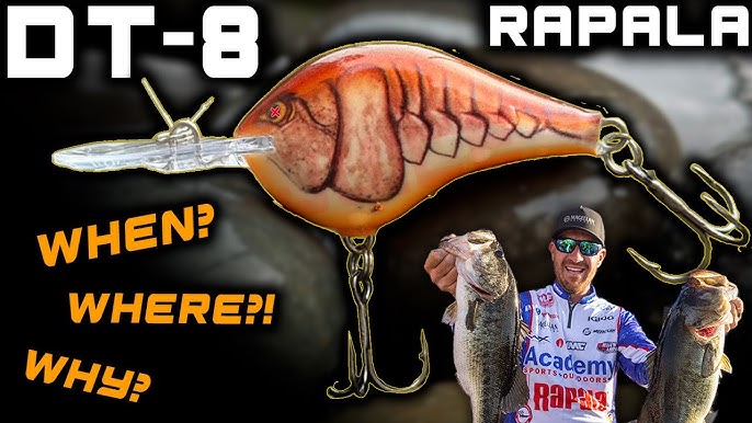 Rapala DT (Dives-To) Crankbaits: How to Fish the Water Column 