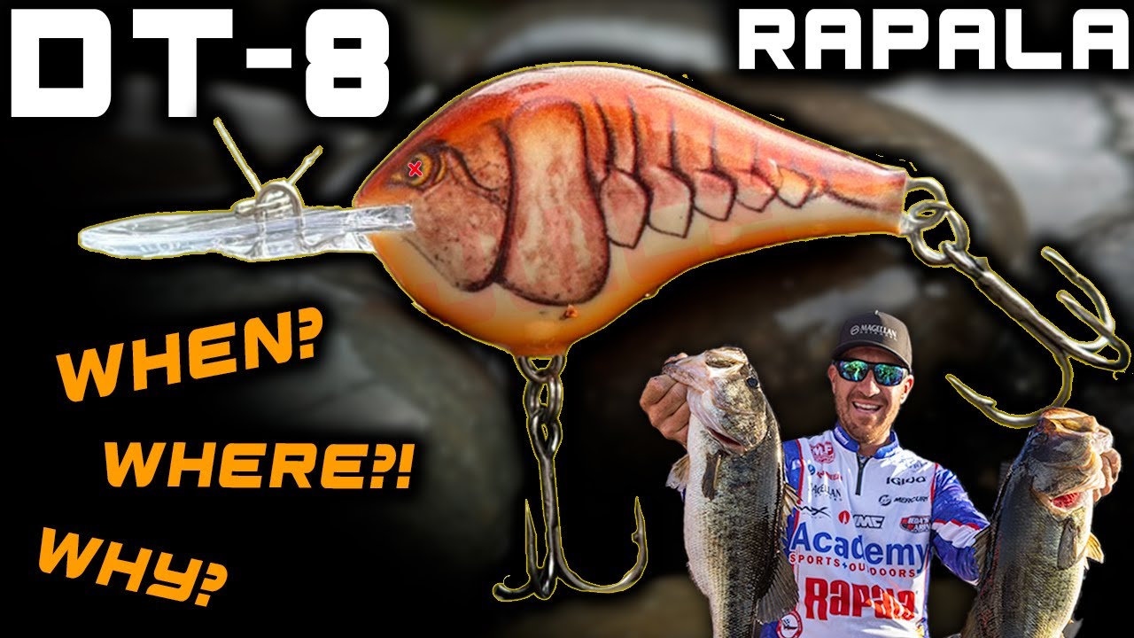 Rapala DT-8: Bait Breakdown, Depth Test & Tricks 