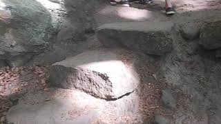 Luxemburg Caves Exploring Fells Patterdale Terriers Family Luxembourg Estacado Rocky Terrain Forest