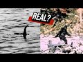 The Story Behind the Most Famous Cryptid Evidence