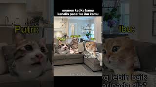 momen ketika kamu kenalin pacar ke ibu kamu 🗿 #memekucing #meme #kucinglucu #viral