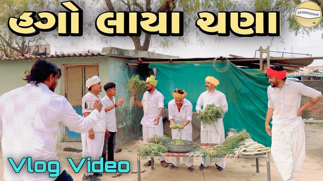 હગો લાયા ચણા !! SB Official Patan // gujrati Vlog Video 