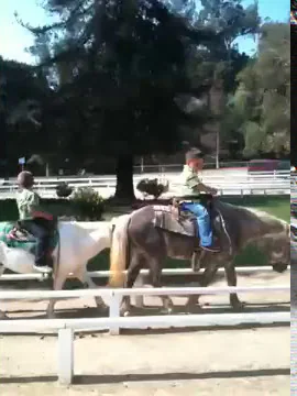 Damien @ Griffith park ponies