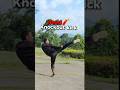 HEAD KNOCKOUT KICK in Kickboxing! #shorts #kick