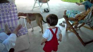 Imagen 163.avi