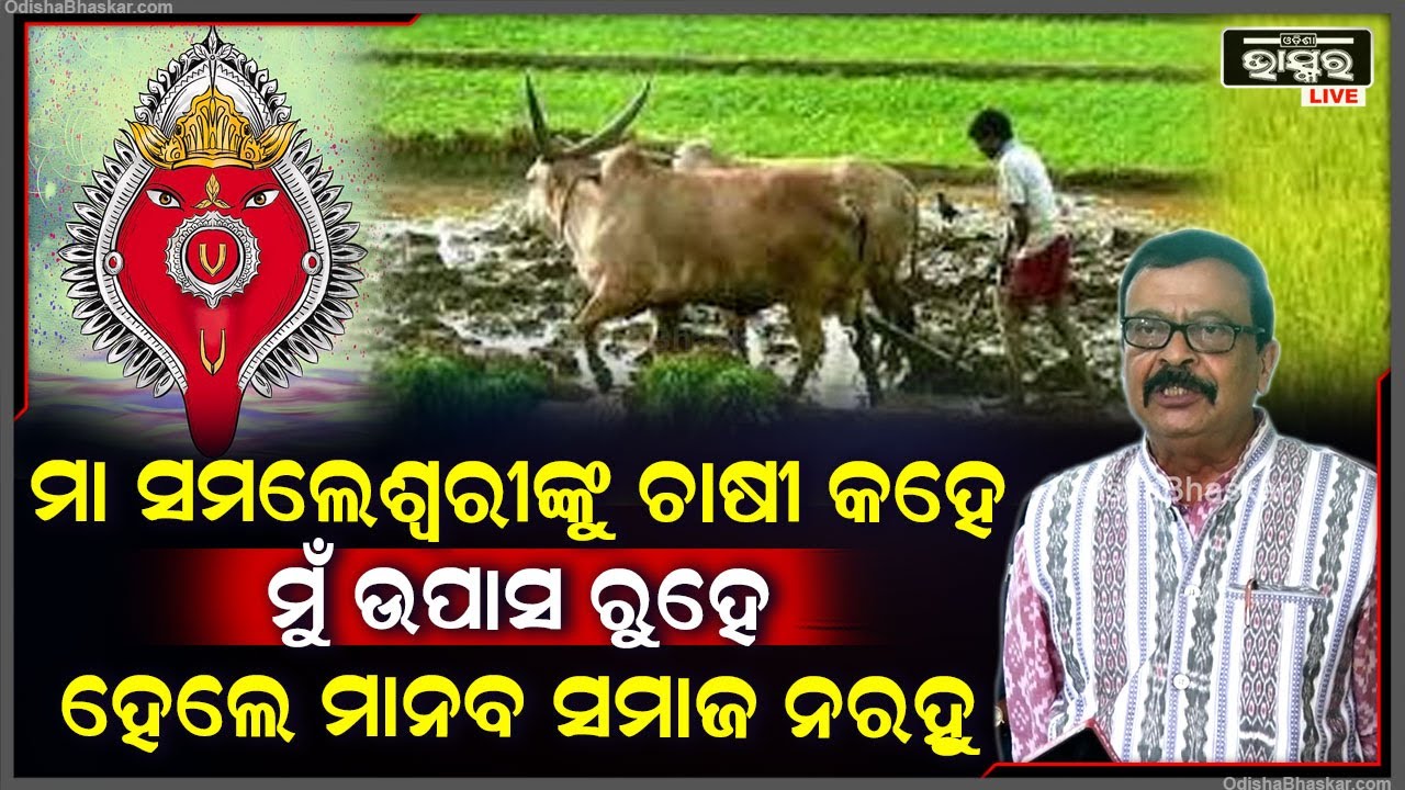 "ନୂଆଖାଇ କେବଳ ପଶ୍ଚିମ ଓଡ଼ିଶାର ପର୍ବ ହୋଇ ରହିନାହିଁ, ସାରା ଓଡ଼ିଶାର ପର୍ବ ହୋଇସାରିଲାଣି"