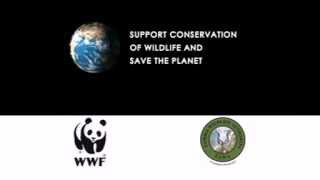 wwf anti poaching tv ad march 2014