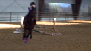 Sianna & Ruby's First Jumping Show. December 2014