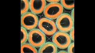 Researchers uncover what makes large numbers of 'squishy' grains start flowing