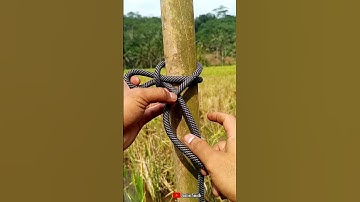 Beginner to Pro: Mastering Basic Knots”#KnotTutorial #a #rope #HowToTie #RopeSkills #KnotGuide