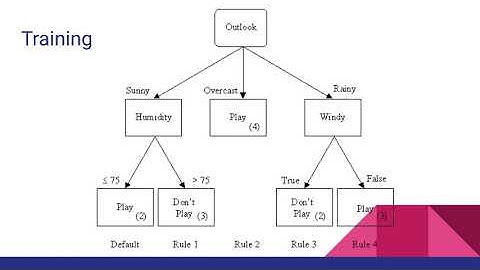 Decision Tree