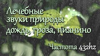 ЛЕЧЕБНЫЕ ЗВУКИ ПРИРОДЫ🌳 РЕЛАКС МУЗЫКА С ЧАСТОТОЙ 432HZ