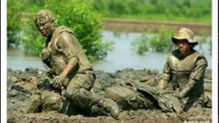 Pohon Bakau_ PDW Rawa Laut