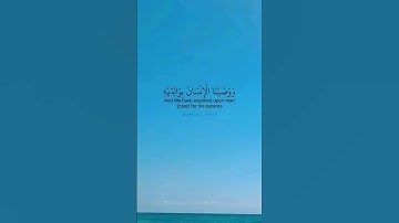 ووصينا الإنسان بوالديه حملته أمه وهنا على وهن. ماتيسر من سورة لقمان بصوت القارئ ماهر المعيقلي