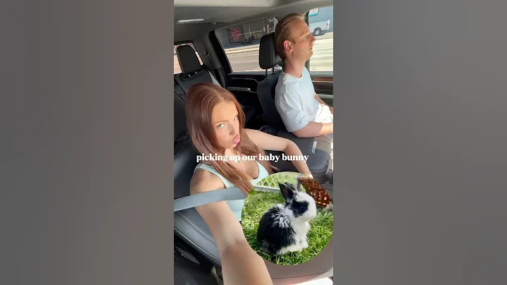 I got a bunny! Picking up a baby bun, finally meeting him for the first time🤍 #bunny #rabbit