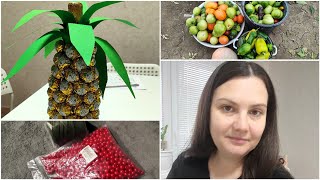 видео: Огородный сезон ЗАКРЫТ!👩🌾 | АНАНАС🍍 | Спасибо за РЕЦЕПТ👩🍳 картинка: Огородный сезон ЗАКРЫТ!👩🌾 | АНАНАС🍍 | Спасибо за РЕЦЕПТ👩🍳