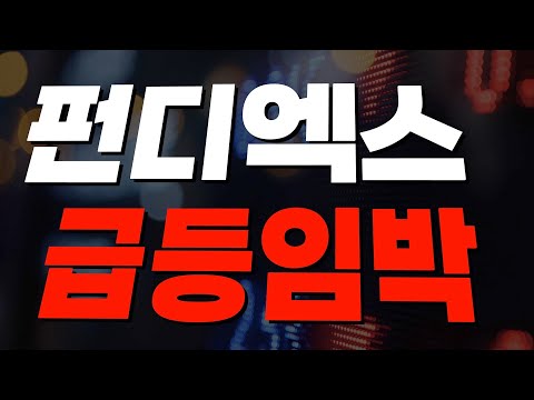   펀디엑스 코인전망 이보다 완벽할 수 없다