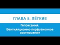 Физиология. Глава 5. Лёгкие. Гипоксемия. Вентиляционно-перфузионное соотношение