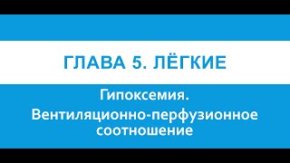 Физиология. Глава 5. Лёгкие. Гипоксемия. Вентиляционно-перфузионное соотношение