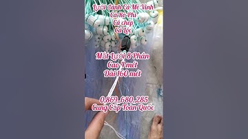 A Chiến Lưới Đánh Cá Ăn Nổi - Lưới Đánh Cá Mè Vinh Cá Rô Phi Cá Chép Tổng hợp - Lưới Đánh Cá Ao Sông