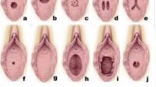 Yalangoch qizlar baliq ovlash