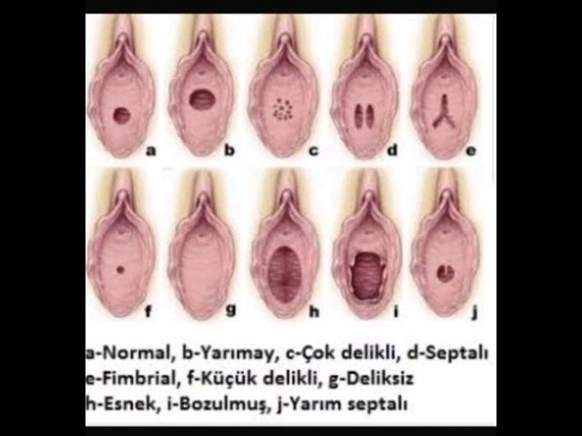 Porno videolar - bu element Voyeur porno video 4