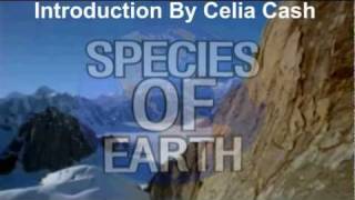 Species Of Earth - Gibson Steals A Snack by stevecashblog 149,863 views 13 years ago 2 minutes, 34 seconds