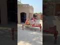 Village food, Pakistan traditional life, Punjab Delhi Vlog Punjab #village