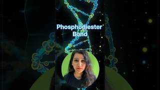 How Phosphodiester bond is synthesised #csir #neet #neetbiology #iitjam#gatb #gate #molecularbiology