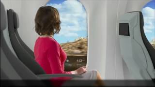 Augmented Windows